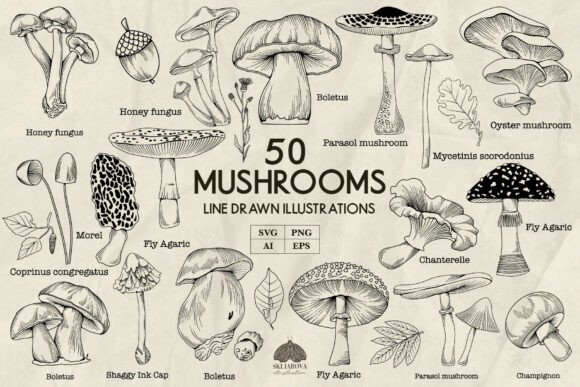 Download Mushrooms Line Art Svg Png Eps - Png Collection