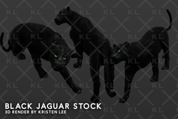 Download 3D Black Jaguar Transparent PNGs - Png Collection