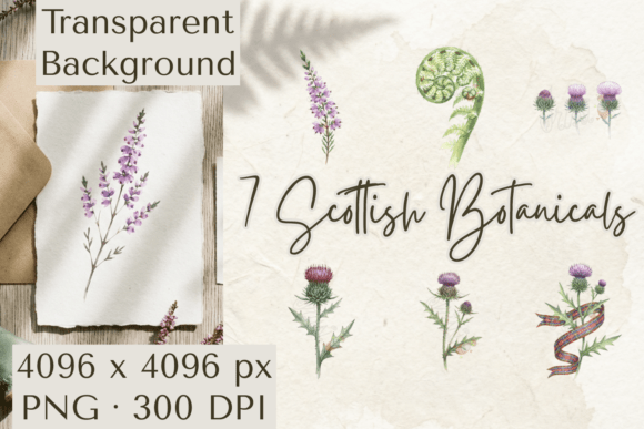 Download Scottish Botanical Clipart PNG Thistle - Png Collection