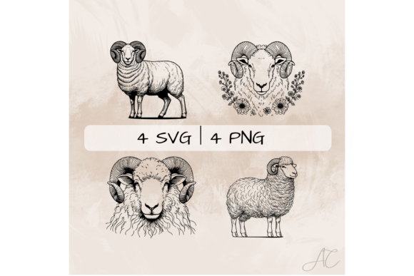Download Ram SVG Bundle, Male Sheep PNG - Png Collection
