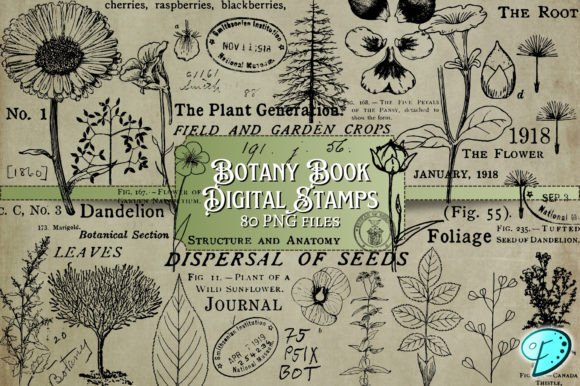 Download Botany Book Digi Stamps Transparent PNGs - Png Collection