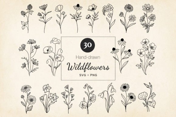 Download Minimal Wildflowers Set SVG, EPS, PNG - Png Collection