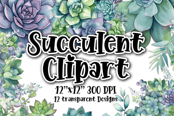 Download Succulents Clipart 10 Transparent PNGs - Png Collection