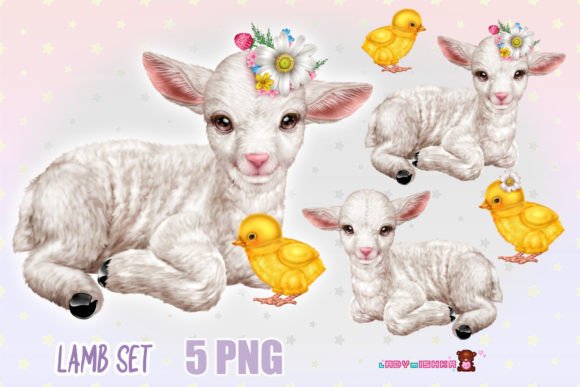 Download Cute Baby Lamb PNG Set - Png Collection