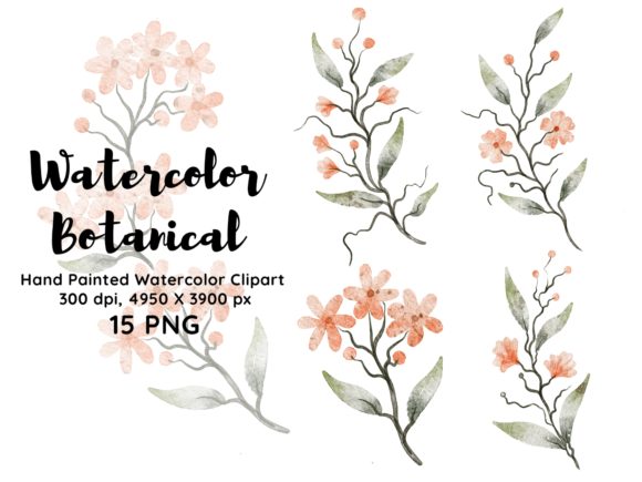 Download Watercolor Botanical Clipart PNG - Png Collection