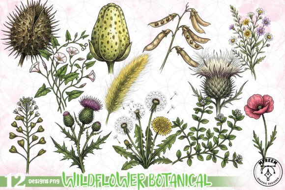 Download Wildflower Botanical Clipart PNG - Png Collection